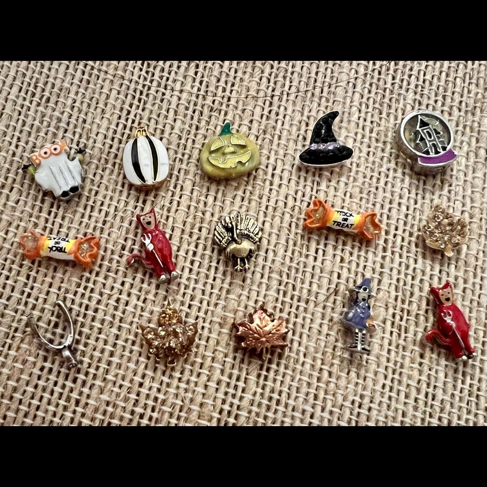 Origami Owl Fall Charms